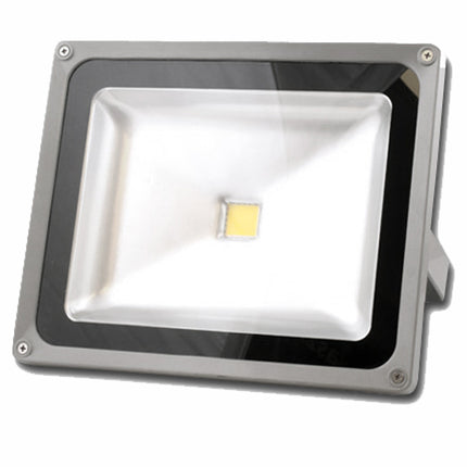 Proiector leduri 10W
