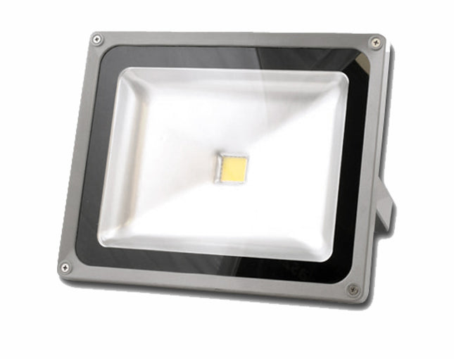 Proiector leduri 10W