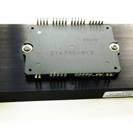 STK795-813