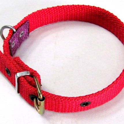 Zgarda caine sintetica de (2.5CMx50CM)-Nr.110
