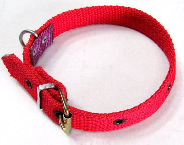 Zgarda caine sintetica de (2.5CMx50CM)-Nr.110