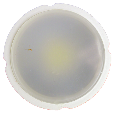 Bec Led Mr16 model R50, 6W=50W, 6500K, lumina rece