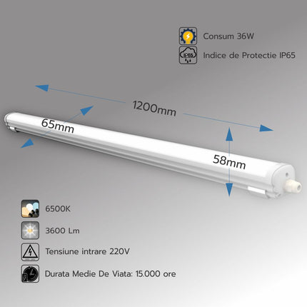 Corp LED IP65, 36W = 72W, 6500K, lumina rece, 1200mm