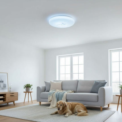 Plafoniera LED Flower  fi300 18W=120W, 6500K, lumina rece
