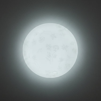 Plafoniera LED Flower, 260x35mm, 13W=75W, 6400K, lumina rece