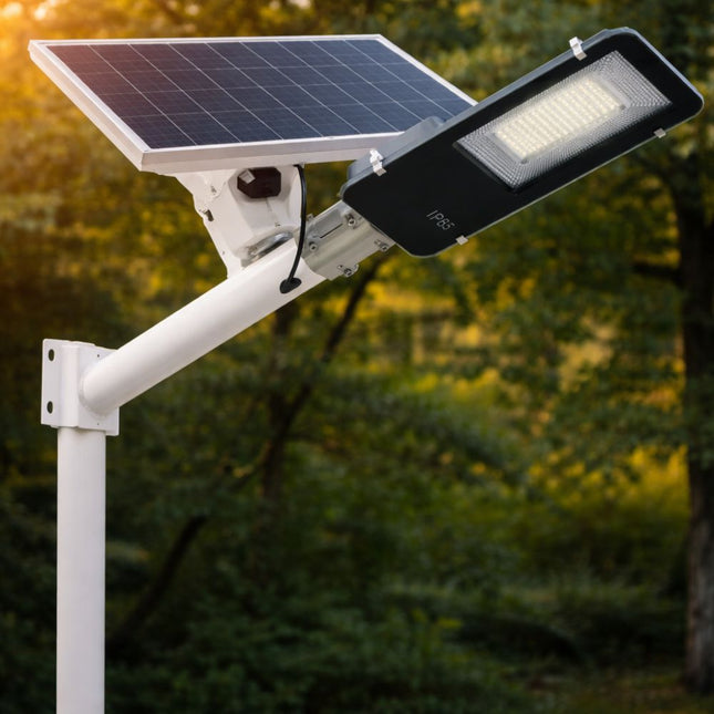 Corp Stradal  cu Panou Solar Monocristalin Detasabil 6V/23W si telecomanda -  200W/6500k