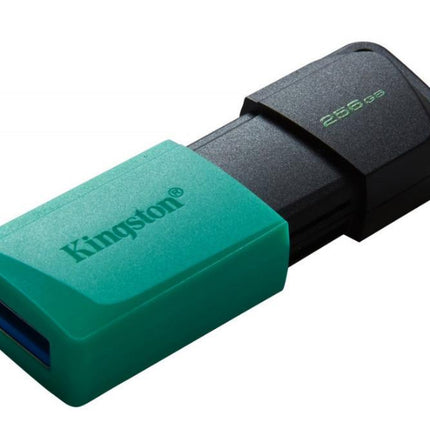 USB 3.2 flash drive 256GB Kingston
