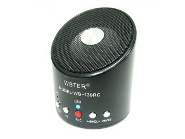 Radio cu MP3 Wster WS-139RC