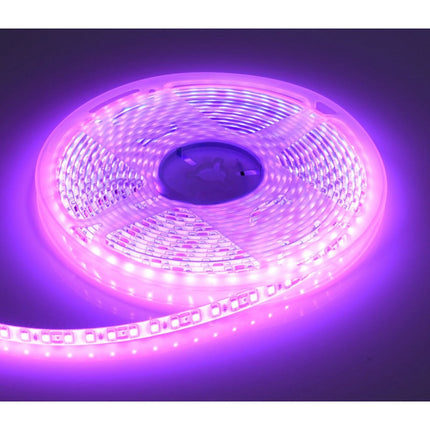 Banda led exterior din silicon 12V DC 5m