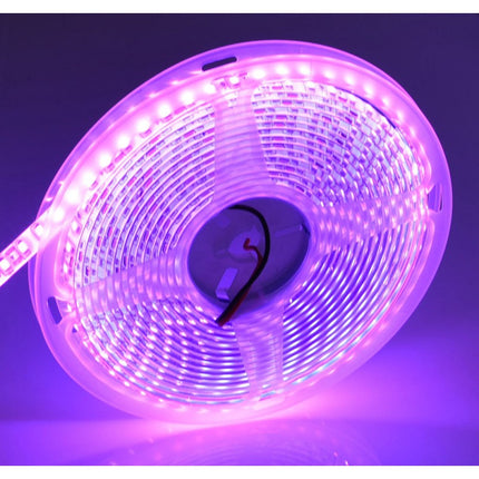 Banda led exterior din silicon 12V DC 5m