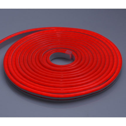 Banda led flexibila 12V culoare alb-rece 5m