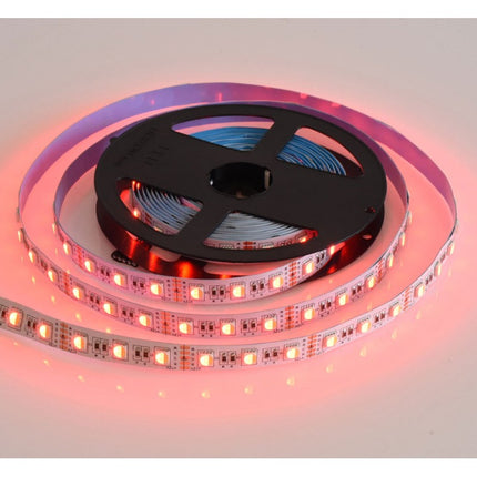 Banda led interior RGBW 5m 12V DC