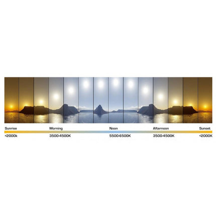 Banda led interior RGBWW 5m 12V DC