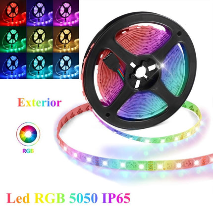 Banda led exterior din silicon 12V DC 5m