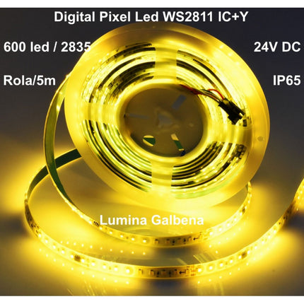 Banda led digitala exterior 24V IC+W 5m