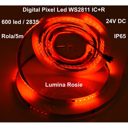 Banda led digitala exterior 24V IC+W 5m
