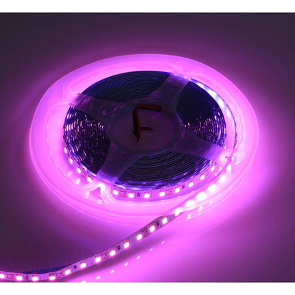 Banda led interior 12V DC 5m