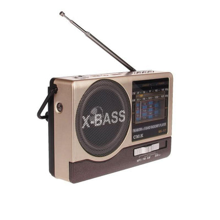 BOXA PORTABILA FUNCTIE RADIO FM - USB