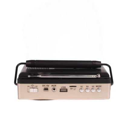 BOXA PORTABILA FUNCTIE RADIO FM - USB