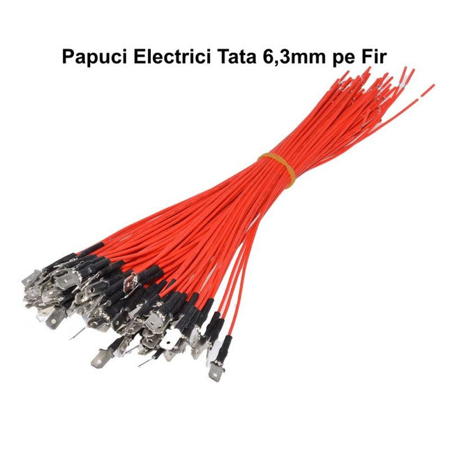 Papuci electrici fir Tata 6,3mm, set 3mm