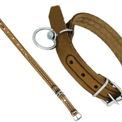 Zgarda caine din piele de (2CMx40CM)-Nr.298