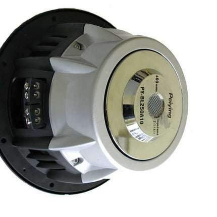 Subwoofer 10 inch pybl250
