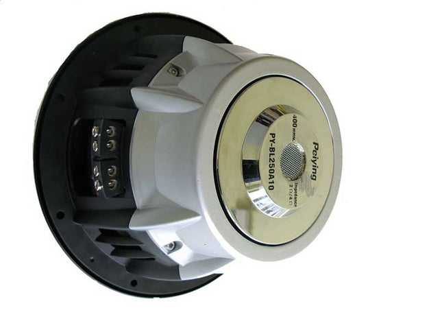 Subwoofer 10 inch pybl250