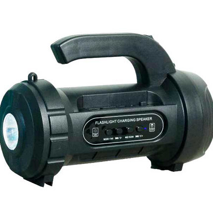 Difuzor 4inch cu lanterna/BT/FM/USB
