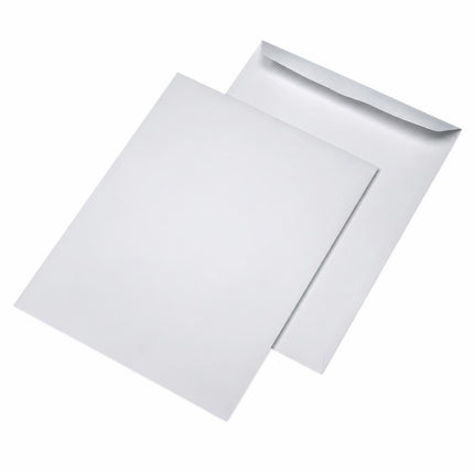 Plic C6L silicon 80gr alb