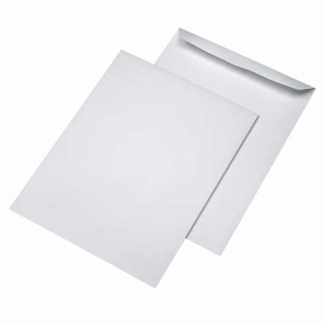 Plic C6L silicon 80gr alb