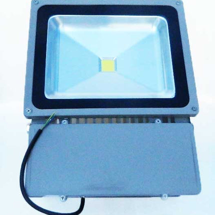 Proiector leduri 100W