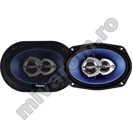 Set 2 dif auto 6x9 py694
