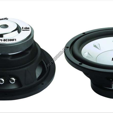 Subwoofer 12 inch pybc300