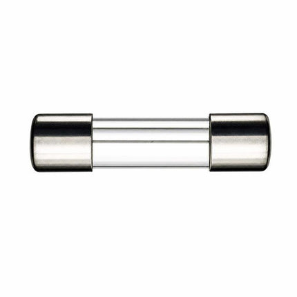 Siguranta rapida 0,3A 5x20mm