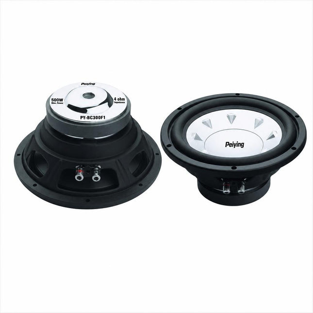 Subwoofer 12 inch pybc300