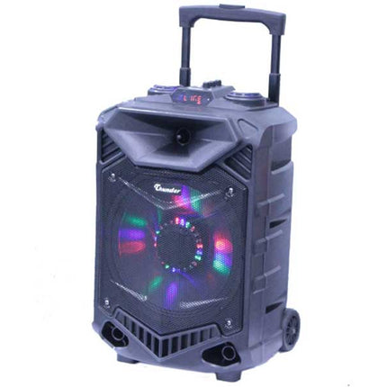 Incinta activa 12inch ABS USB/SD/FM/BT/ACCU Thunder