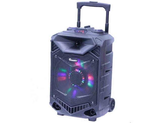 Incinta activa 12inch ABS USB/SD/FM/BT/ACCU Thunder