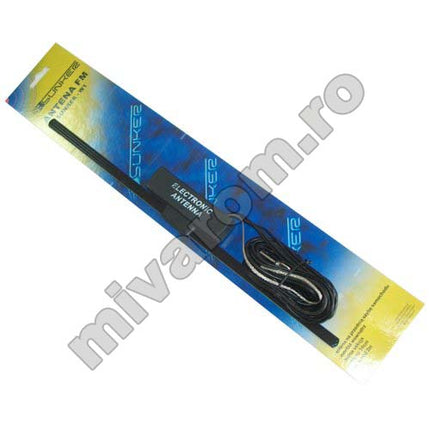 Antena auto cu amplif W1